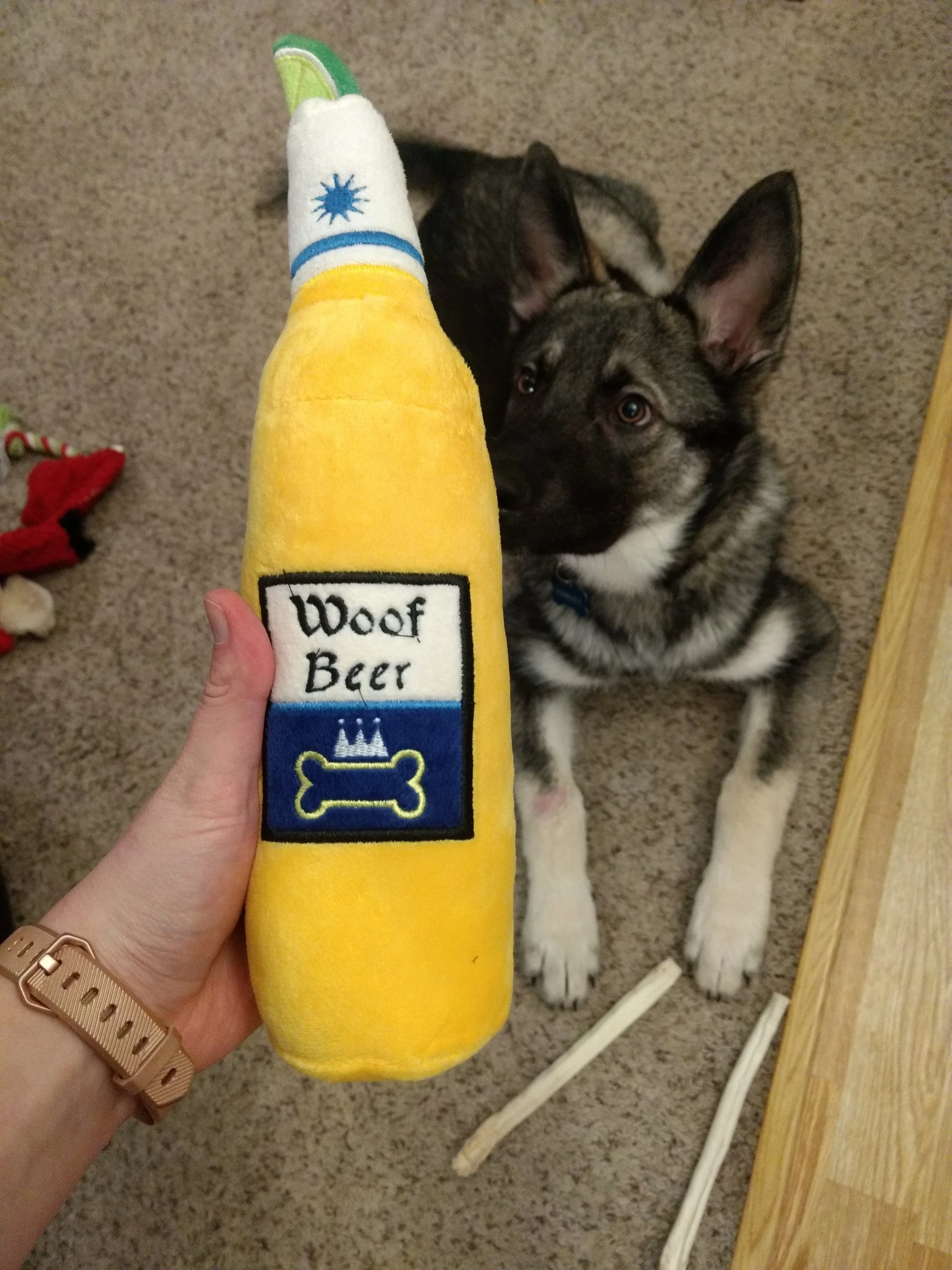 Brewery dog with Magnetic North beer